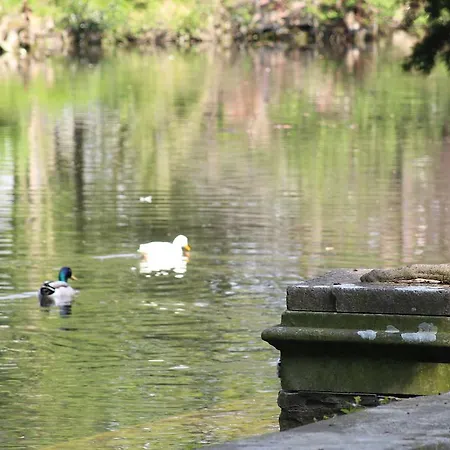 Hall Hotel Monk Fryston